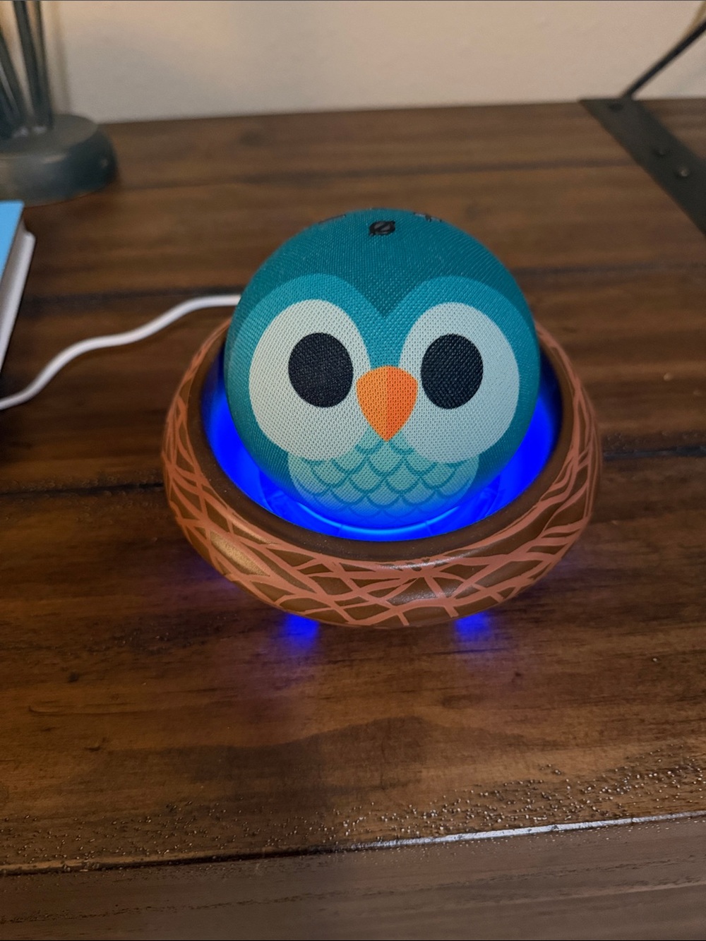 Amazon Alexa Owl Echo Dot Skin with Nest Stand